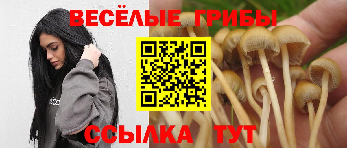 Троицк  Псилоцибиновые грибы ЛСД  Вход с VPN 