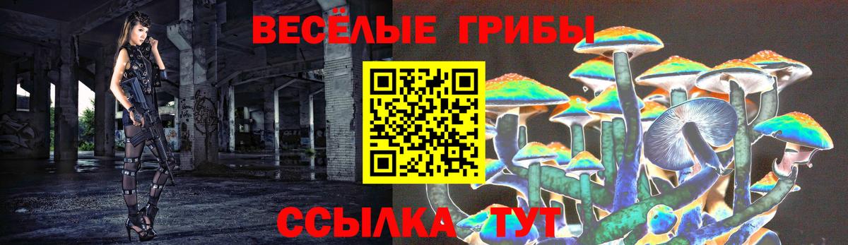 Галлюциногенные грибы Psilocybine cubensis Троицк